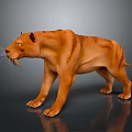 3D Sabertooth Tiger Model Standing With Long Fangs Brown Stripes And Gray Background