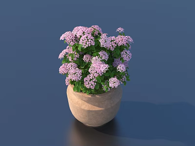 Bonsai Potted Plant With Pink Flowers In Light Brown Textured Pot On Dark Blue Background 3d model