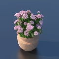 Bonsai Potted Plant With Pink Flowers In Light Brown Textured Pot On Dark Blue Background