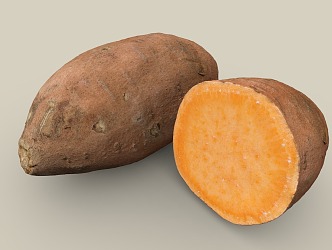 Modern sweet potato 3d model