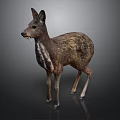 Realistic 3D Rendered Deer Model In Standing Pose With Detailed Texture On Gray Background 3d model
