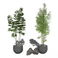 Two Bamboo Bonsai Plants in Gray Pots With Decorative Stones
