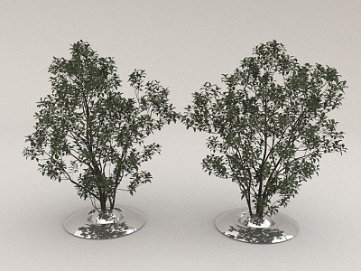 trees and green plants model