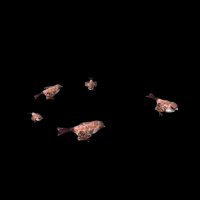 Five Brown Patterned Flying Birds in Mid Flight Against Black Background 3d model Five Brown Patterned Flying Birds in Mid Flight Against Black Background 3d model
