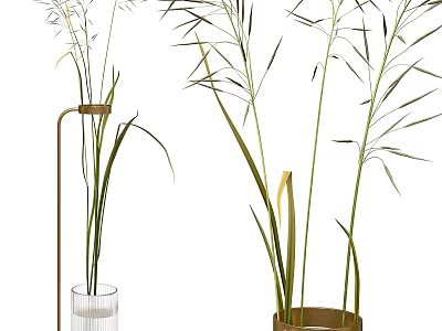 Tall Stem Plants in Transparent Glass Vase with Metal Stand and Brown Container 3d model