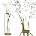 Tall Stem Plants in Transparent Glass Vase with Metal Stand and Brown Container