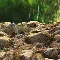 Modern Stone Sprouts 3d model