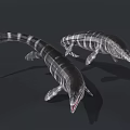 Prehistoric Aquatic Ichthyosaurus With Striped Body Long Snout And Sharp Teeth