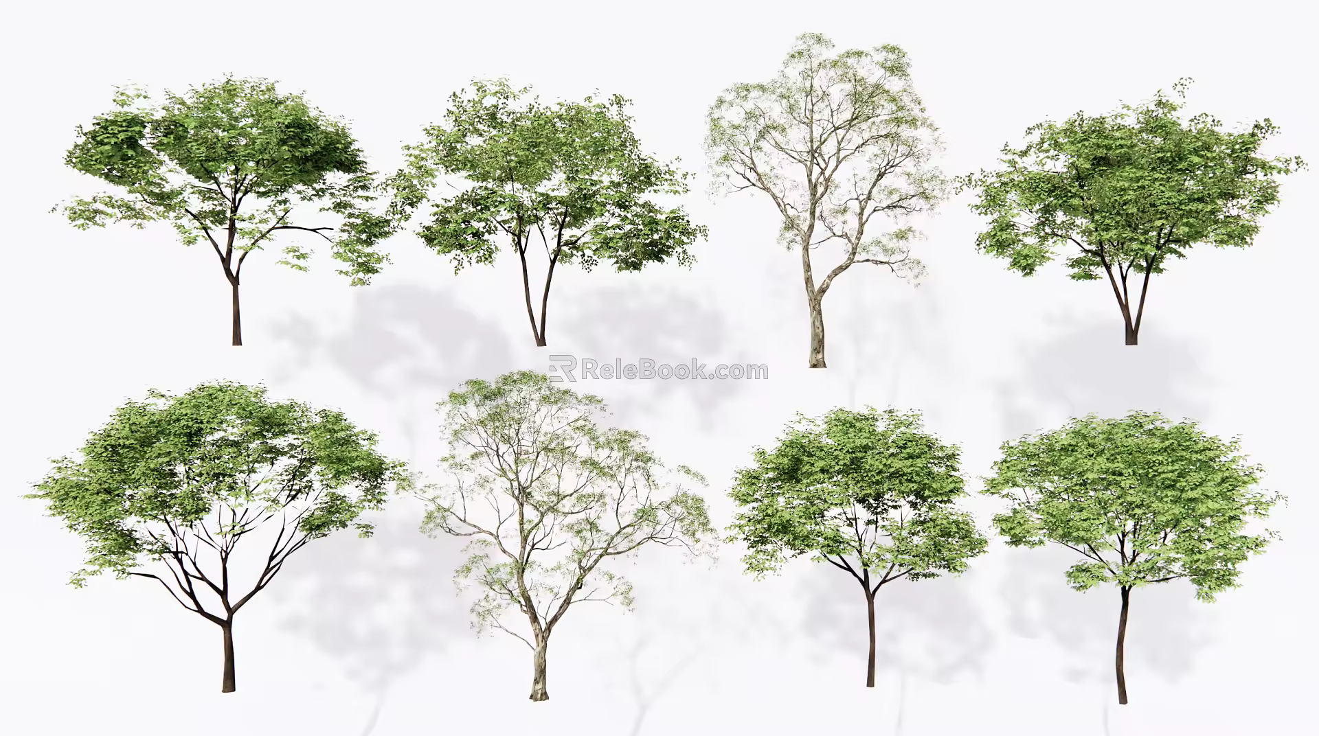 Modern Tree Landscape Tree 3d model