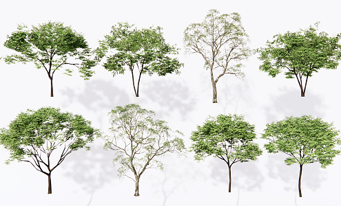 Modern Tree Landscape Tree 3d model