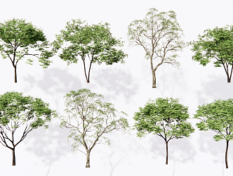 Modern Tree Landscape Tree 3d model