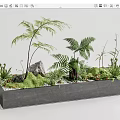 Lush Bonsai Planter with Ferns Rocks and Moss in Gray Rectangular Container 3d model