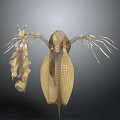 Fantasy Creature Character With Golden Grid Texture Wing Like Structures And Long Tentacles 3d model