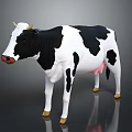 Black and White Spotted Cow Standing with Yellow Hooves and Red Nose on Gray Background