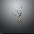 Detailed Bare Tree 3D Model Featuring Wooden Trunk and Stone Base Displayed on Gray Surface