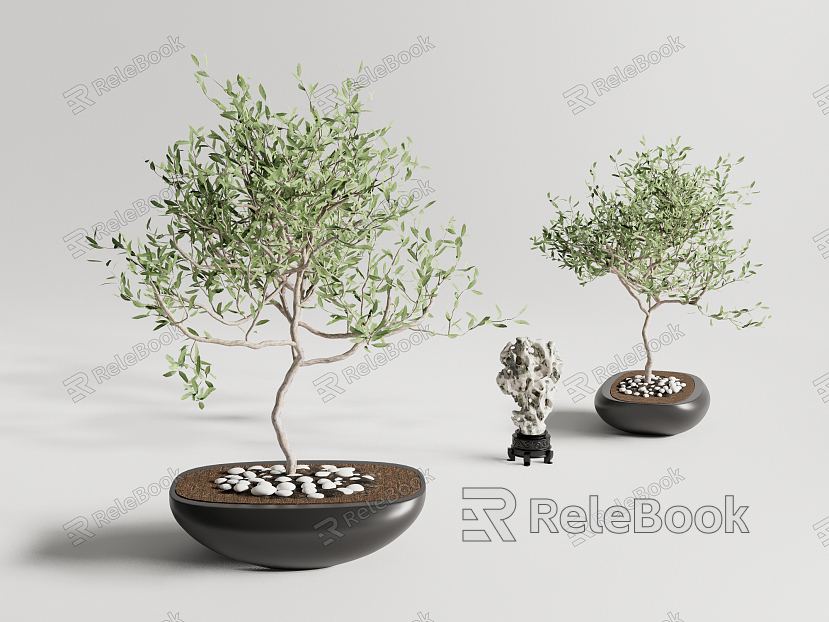 New Chinese Potted Plant Bonsai model