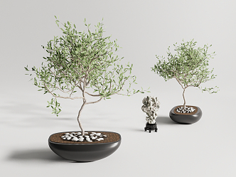 New Chinese Potted Plant Bonsai 3d model