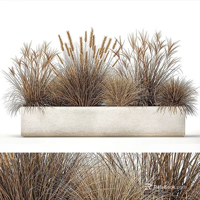Decorative Bonsai Potted Plant With Various Dried Grasses In Rectangular Concrete Planter 3d model 