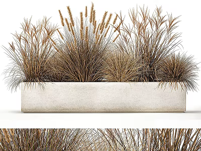 Decorative Bonsai Potted Plant With Various Dried Grasses In Rectangular Concrete Planter 3d model