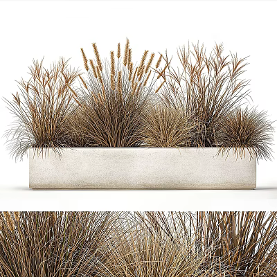Decorative Bonsai Potted Plant With Various Dried Grasses In Rectangular Concrete Planter 3d model