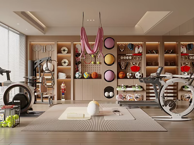 Modern Home Gym Interior Featuring Pink Gym Rings Exercise Balls Storage Shelves And Yoga Mat 3d model