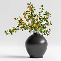 Potted Bonsai Plant with Green and Yellow Leaves in Black Vase for Indoor Decor