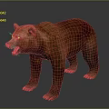 Realistic Brown Bear Standing With Open Mouth And Detailed Fur Texture