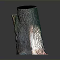 Natural Arbor Tree Stump with Green Brown Bark and Textured Surface 3d model
