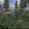 Colorful Garden Flowers And Plants With White Pink Blooms And Lush Green Foliage