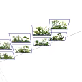 Diverse Plant Combinations with Mixed Herbs Shrubs and Decorative Stone Elements for Garden Landscaping