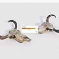 Two Bull Skulls With Curved Horns Isolated On White Background