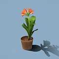 Orange Flowers With Green Leaves In Brown Pot On Blue Background