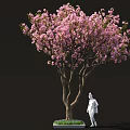 Beautiful Arbor Featuring Pink Blossoms And White Statue On Green Lawn Area
