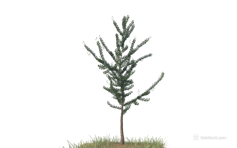 Lush Green Arbor with Dense Foliage and Single Trunk Growing on Grass 3d model 