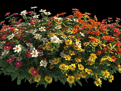 Vibrant Colorful Flowers Blooming in Various Hues with Lush Green Leaves 3d model