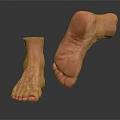 Man's Foot Anatomical Structure Showing Detailed Ankle And Toe Features On Black Surface