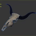 Detailed Animal Skull With Long Black Horns On Dark Surface
