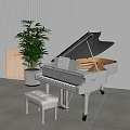 Elegant White Grand Piano and Art Frame Interior Design With Green Plant