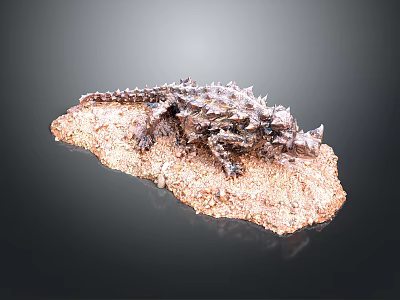 Monster Monster Monster Monster Mountain Essence Alien Monster Alien Monster Monster Warrior Alien Creature Science Fiction Creature 3d model