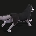 Black And White Husky Dog Running In 3D Model Rendering