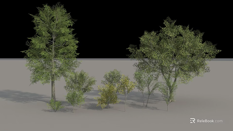 Diverse Arbor Trees Collection With Various Sizes Green Foliage And Heights 3d model 