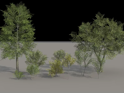 Diverse Arbor Trees Collection With Various Sizes Green Foliage And Heights 3d model
