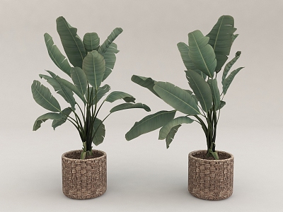 trees green plants potted plants flowerpot ornaments flowers trees 3d model