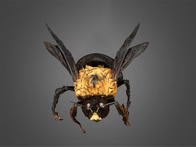 Detailed Flying Insect With Black And Yellow Body Transparent Wings And Compound Eyes 3d model