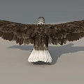 Majestic Flying Animal Eagle Standing With Spread Wings White Head Yellow Beak And Claws