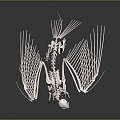 Modern Skeleton Gryphon Skeleton Gryphon Eagle Strange Bird Skeleton 3d model