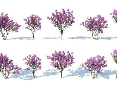 Purple Flowering Trees In Various Shapes For Outdoor Garden Landscape Design 3d model