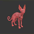 Hairless Sphynx Cat with Large Ears and Curled Tail Standing on Black Reflective Surface