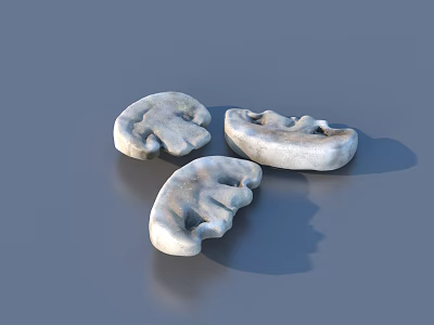 Mushrooms Mushrooms Food Medicinal Materials 3d model Mushrooms Mushrooms Food Medicinal Materials 3d model