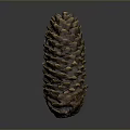 Brown Natural Pine Cone With Detailed Textured Scales On Gray Background